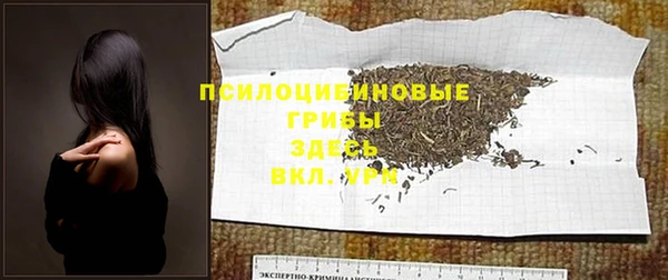 ешки Белоозёрский