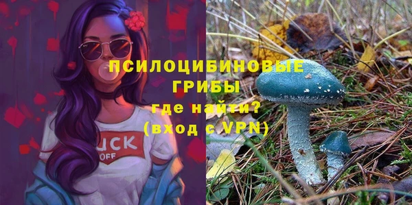 трава Белокуриха