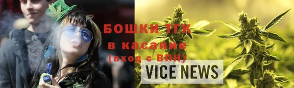 шишки Беломорск