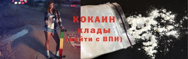 шишки Беломорск