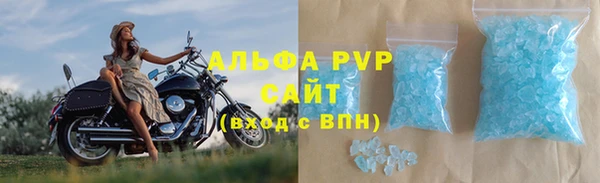 трава Белокуриха