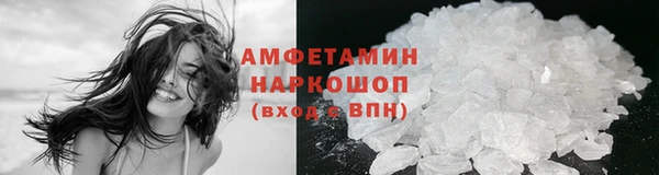 шишки Беломорск