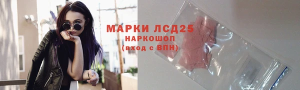 трава Белокуриха