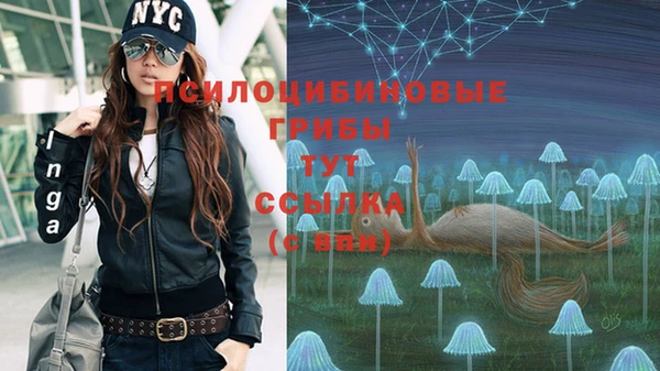 ешки Белоозёрский