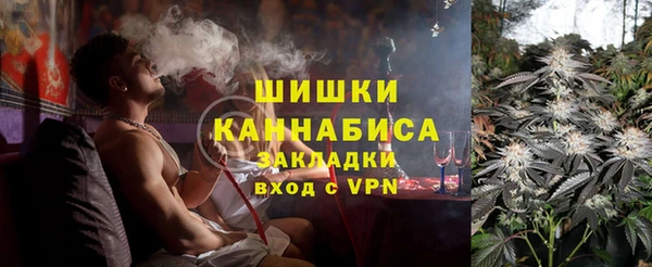 сатива Кулебаки