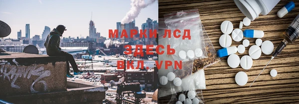 шишки Беломорск