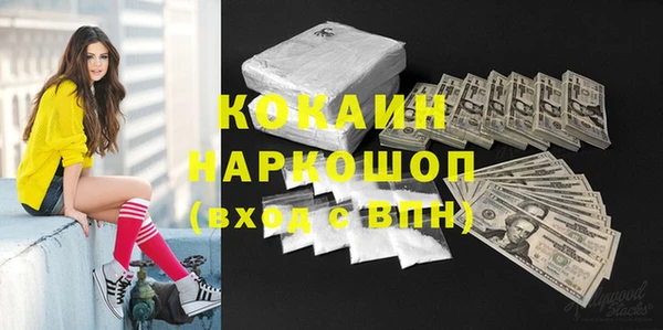 шишки Беломорск