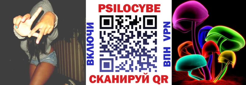где купить   Лыткарино  Псилоцибиновые грибы Magic Shrooms 
